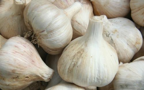 Midgardtattoo Health Tattoo Funtattoo. 02 Midgardtattoo Health Tattoo Funtattoo. 02