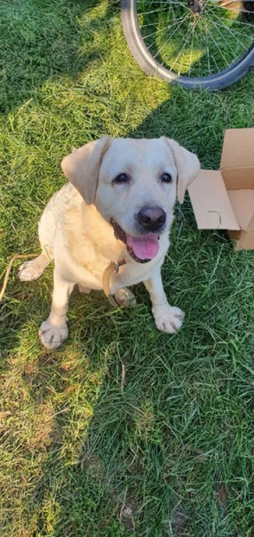 Очень долго мы передержку для нашего кабачка из Магнитогорска искали. 01 Очень долго мы передержку для нашего кабачка из Магнитогорска искали. 01