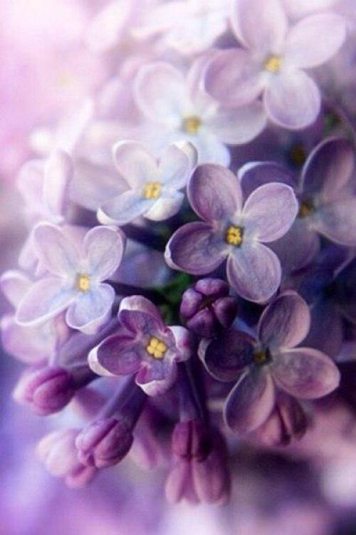 Да всем чего-то не хватает …. 01