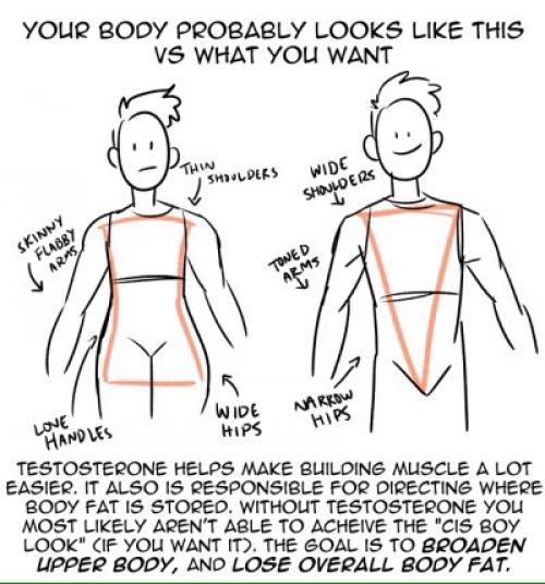 1 картинка: транс фитнес, гайд от пре - т парня. 01