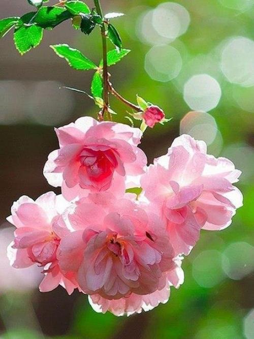 Новый день как маленькое чудо жди. 01