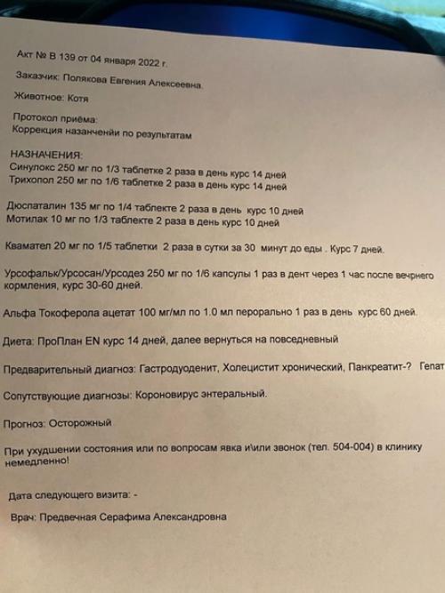 Котя. Новости. Как нам было рекомендовано, мы записались и приехали на узи. 03 Котя. Новости. Как нам было рекомендовано, мы записались и приехали на узи. 03