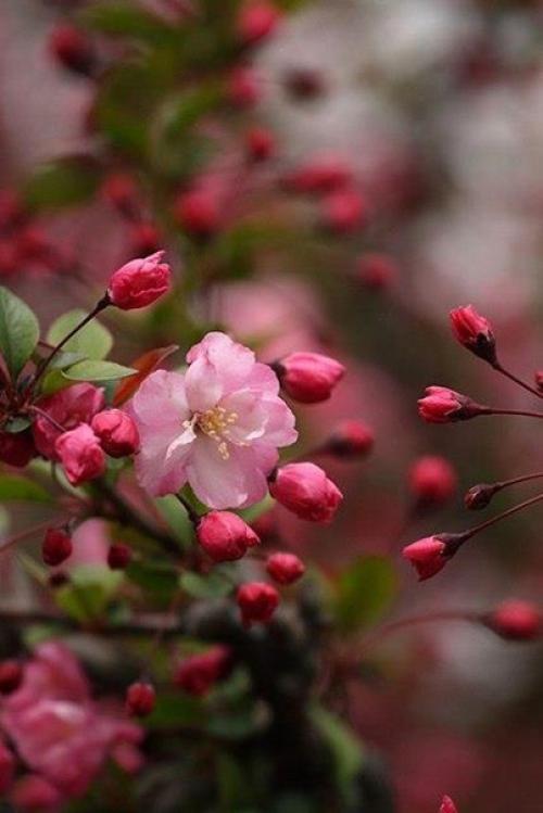 Новый день как маленькое чудо жди. 03