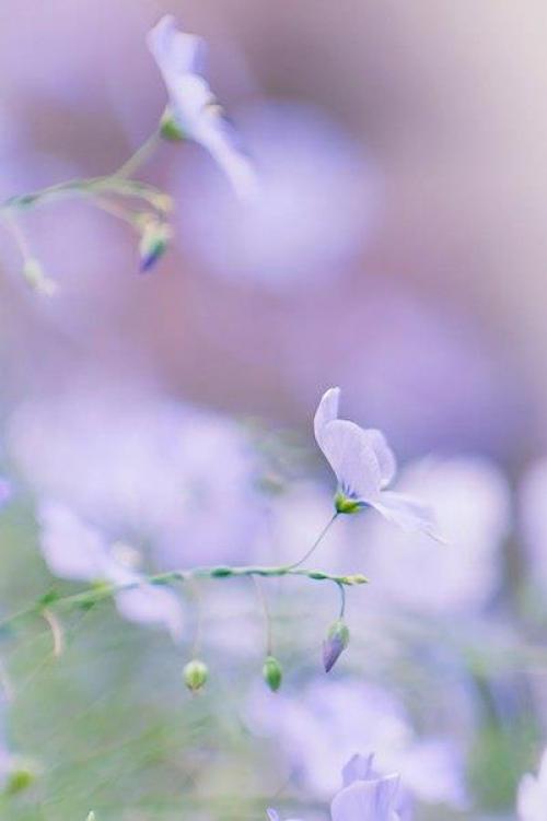 Да всем чего-то не хватает …. 05