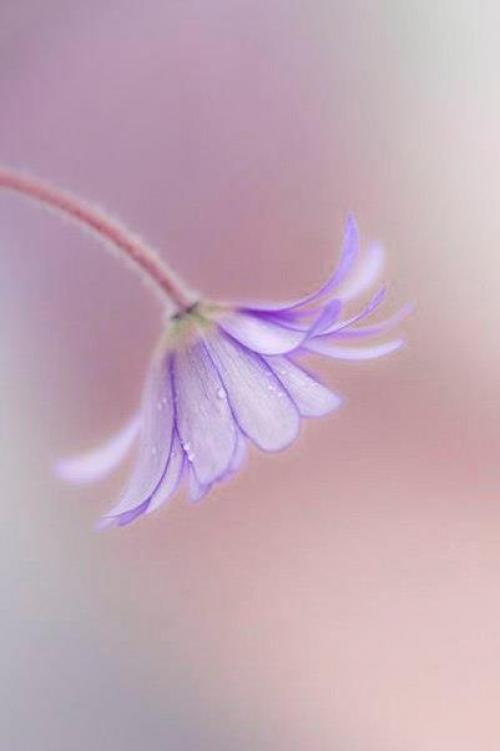 Да всем чего-то не хватает …. 02