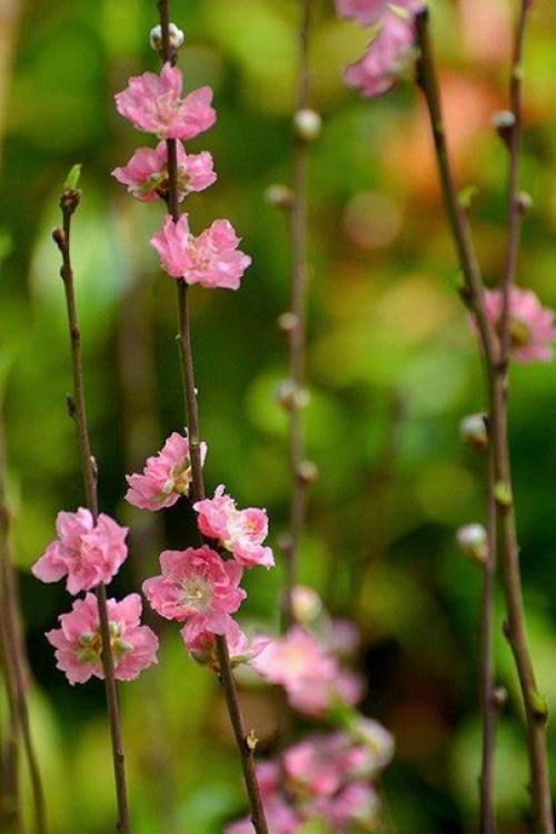 Новый день как маленькое чудо жди. 05