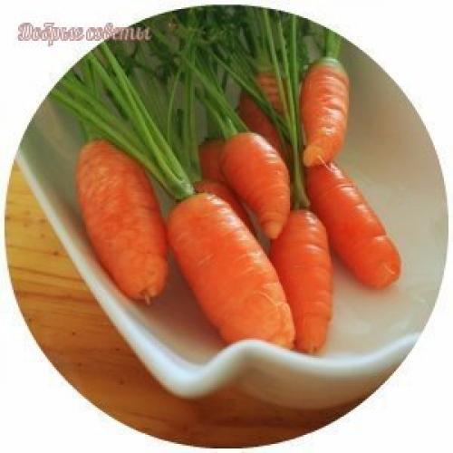 6 продуктов, которые помогут сохранить зрение. 04