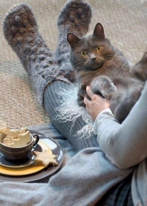 Много ли надо, чтобы день начался прекрасно? 01