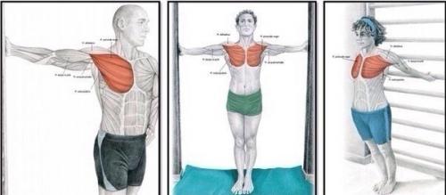 Торт Три шоколада.   Ингредиенты Песочное печенье 300 г. Масло сливочное 125 г Желатин 5 листов Творожный сыр 750 г. 03