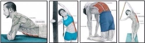 Торт Три шоколада.   Ингредиенты Песочное печенье 300 г. Масло сливочное 125 г Желатин 5 листов Творожный сыр 750 г. 05