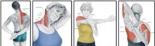 Торт Три шоколада.   Ингредиенты Песочное печенье 300 г. Масло сливочное 125 г Желатин 5 листов Творожный сыр 750 г. 02