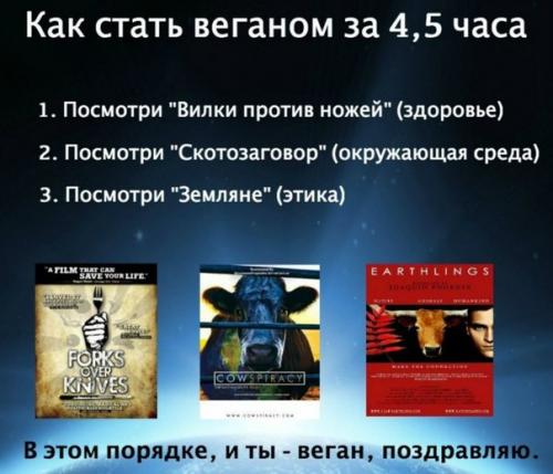 Лео бабаута: хватит мучить животных! 03