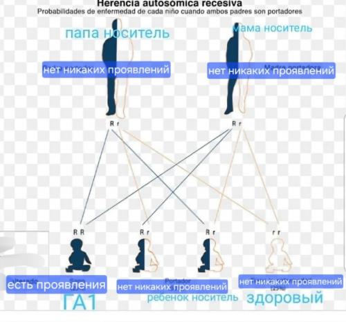 У арсения редкое заболевание. 01 У арсения редкое заболевание. 01