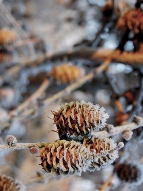 Много ли надо, чтобы день начался прекрасно? 05