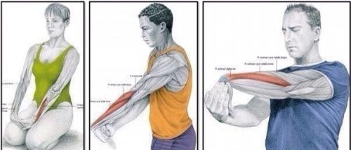 Торт Три шоколада.   Ингредиенты Песочное печенье 300 г. Масло сливочное 125 г Желатин 5 листов Творожный сыр 750 г. 07