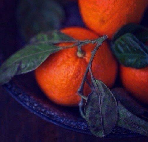 Доброе утро. В любом возрасте день должен начинаться с поцелуя и заканчиваться поцелуем. 04