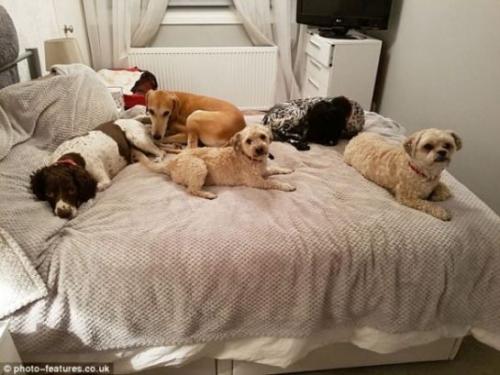 Живой скелетик не мог подняться из канавы …. 02 Живой скелетик не мог подняться из канавы …. 02