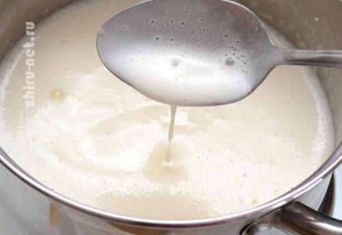 Плавленый грибной сыр. 05 Плавленый грибной сыр. 05