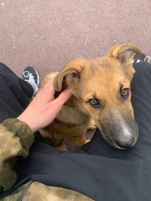 Эта история неделю назад началась. 03