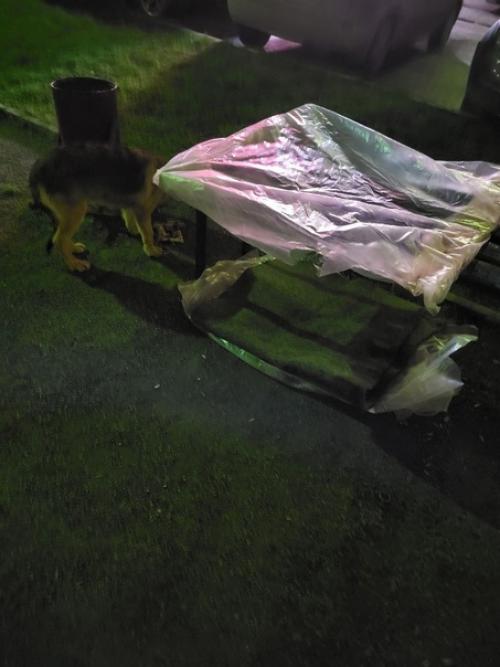 Эта история неделю назад началась. 01