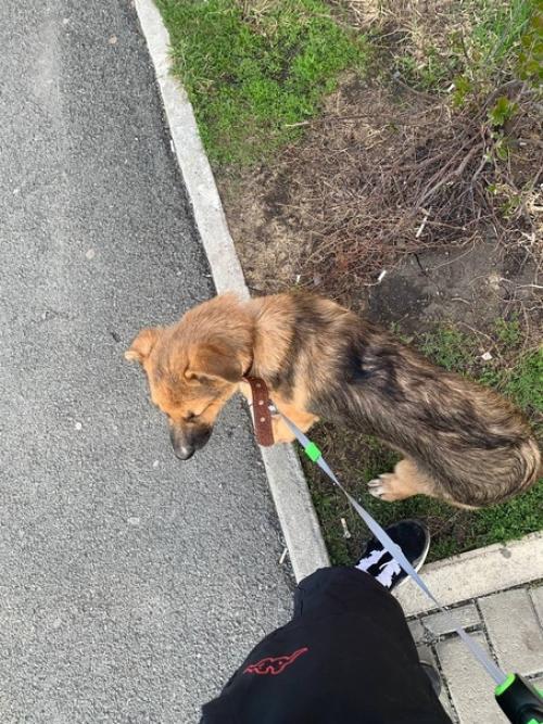 Эта история неделю назад началась. 02