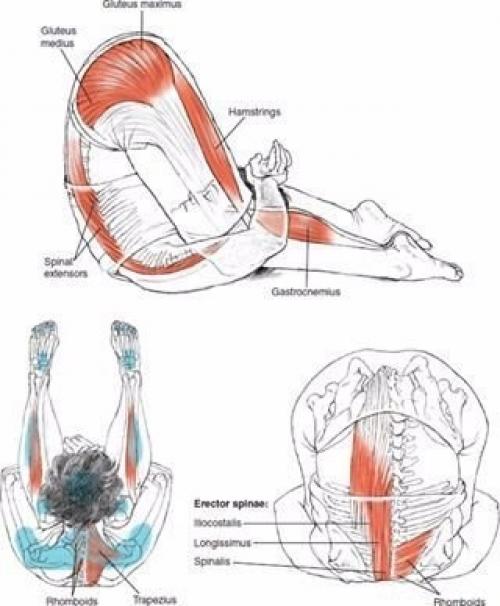 Растяжка для всего тела! 05