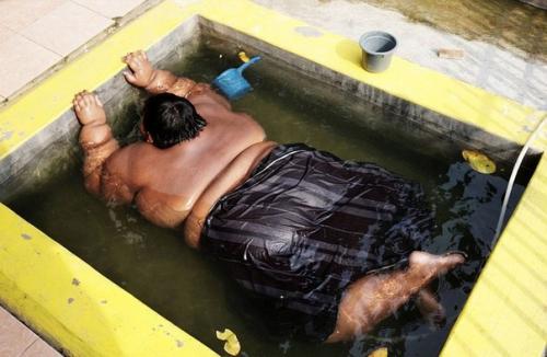 В Индонезии живет самый толстый мальчик в мире - в свои 10 лет он ест 5 раз в день и весит 192 кг. 07