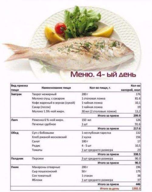 Дневная программа питания для похудения. 03