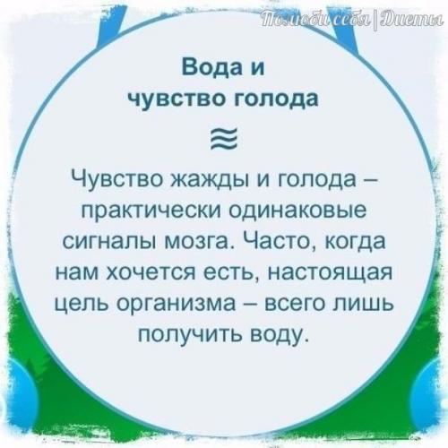 О пользе обычной воды! 04