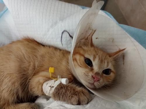 Мой вчерашний день. 01