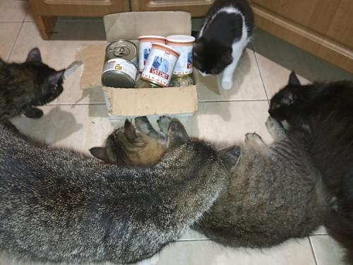 Мой вчерашний день. 02