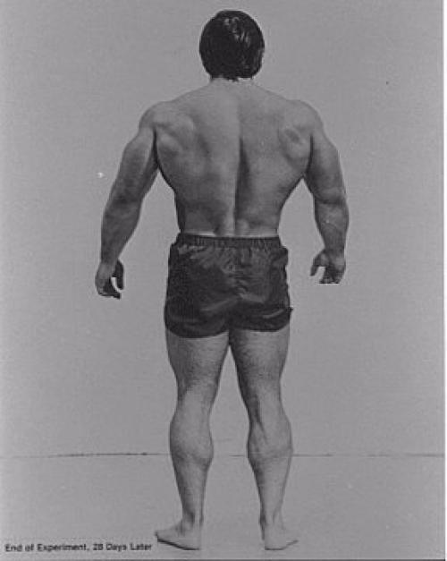 Колорадский эксперимент 28 кг мышц за 28 дней. Как нарастить 28 кг мышечной массы за 28 дней.