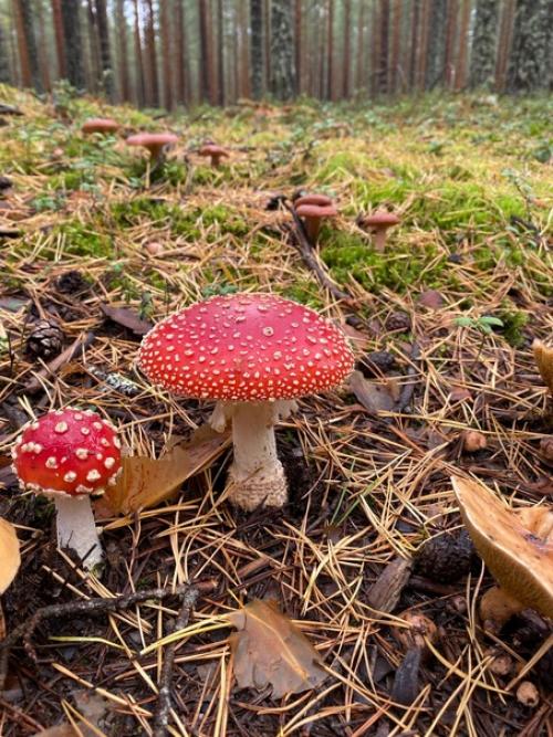 Осеннее равноденствие 23 сентября. 02