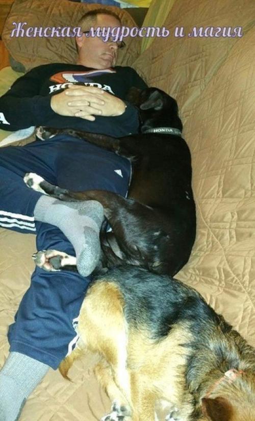 Как два байкера спасли собаку из заключения. 08 Как два байкера спасли собаку из заключения. 08