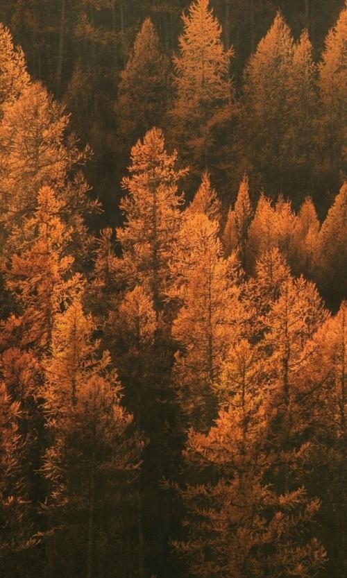 Магия новолуния. 21 сентября в 22. 54. 05 Магия новолуния. 21 сентября в 22. 54. 05