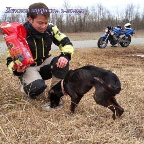 Как два байкера спасли собаку из заключения. 03 Как два байкера спасли собаку из заключения. 03