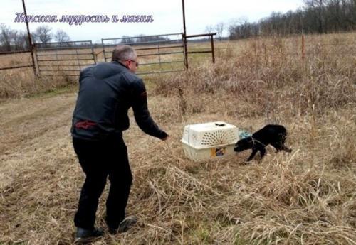 Как два байкера спасли собаку из заключения. 02 Как два байкера спасли собаку из заключения. 02