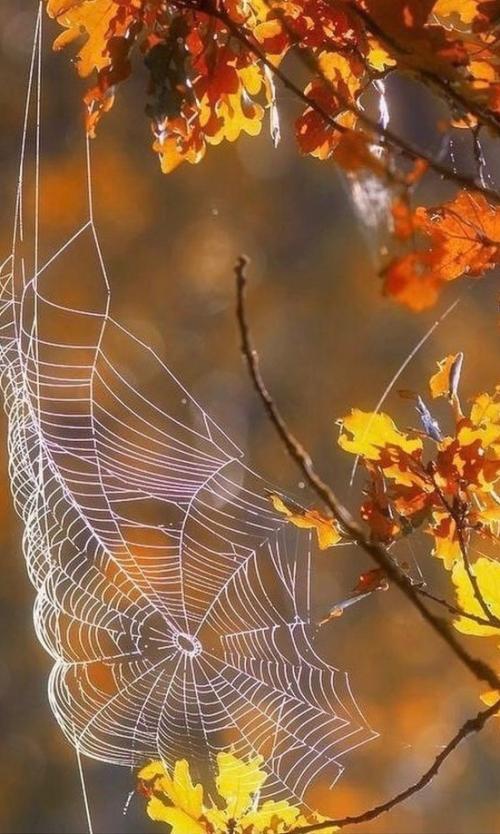 Магия новолуния. 21 сентября в 22. 54. 04 Магия новолуния. 21 сентября в 22. 54. 04