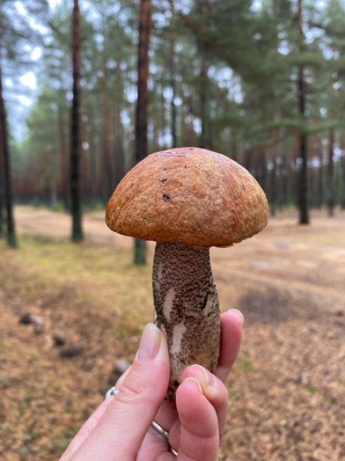 Осеннее равноденствие 23 сентября. 01