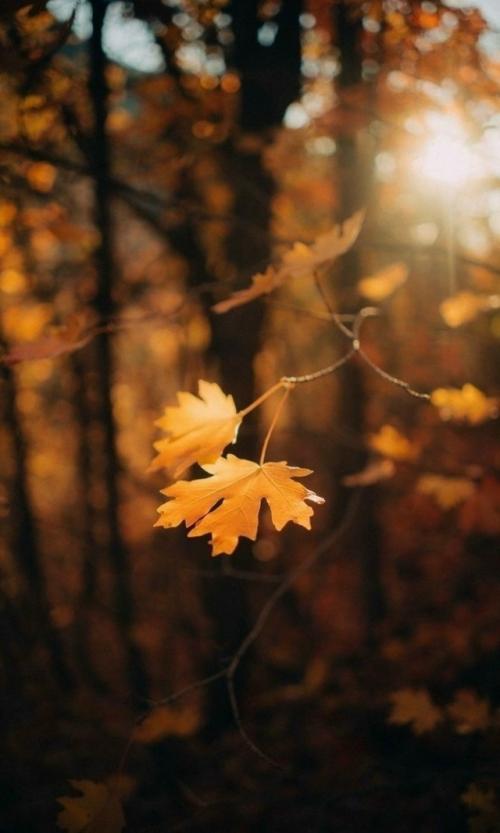 Магия новолуния. 21 сентября в 22. 54. 01 Магия новолуния. 21 сентября в 22. 54. 01