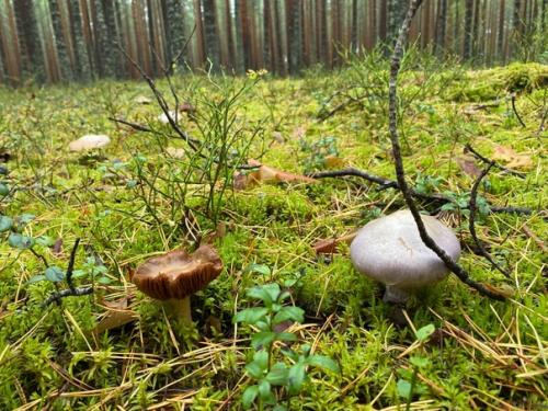 Осеннее равноденствие 23 сентября. 03