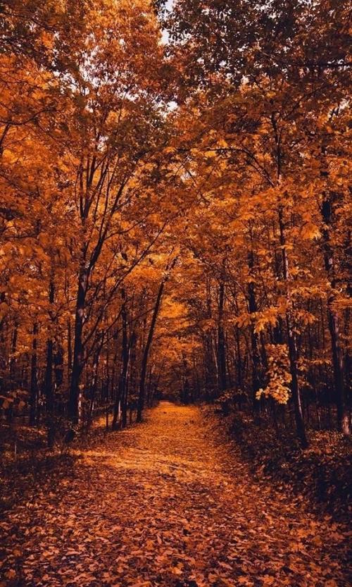 Магия новолуния. 21 сентября в 22. 54. 02 Магия новолуния. 21 сентября в 22. 54. 02