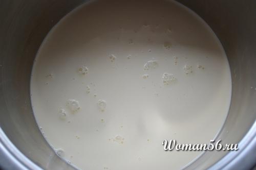 Сыр из молока. Как сделать сыр из молока в домашних условиях