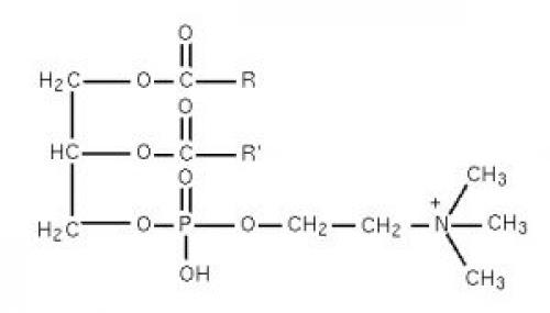 Чудо мазь для суставов. Крем для суставов Чудо Хаш
