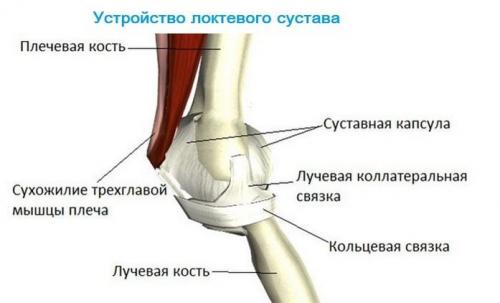 Болит рука в локте при поднятии тяжести. Болит локоть поднятии тяжести и других нагрузках: причина и что делать?