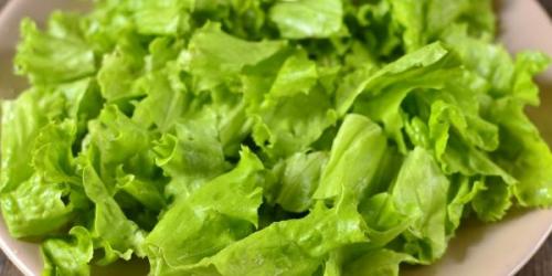 Как приготовить диетическую куриную грудку на сковороде. Семь рецептов вкусных диетических блюд из куриной грудки
