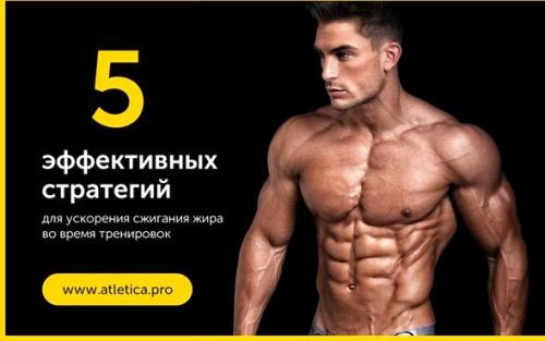 Эффективная тренировка для сжигания жира. Содержание