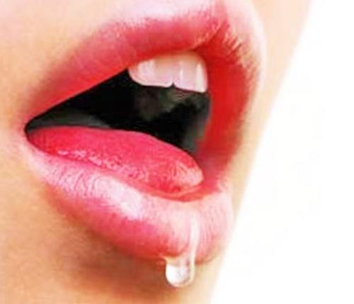 Какие кости в скелете образуют сустав. Скелет человека 01