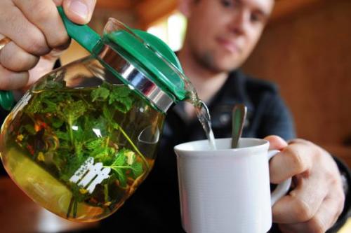 Таблетки восстанавливающие голос. Если пропал голос, как срочно восстановить его