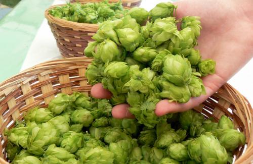 Как увеличить грудь. Как самостоятельно увеличить грудь в домашних условиях: питание, упражнения, массаж, визуальная коррекция